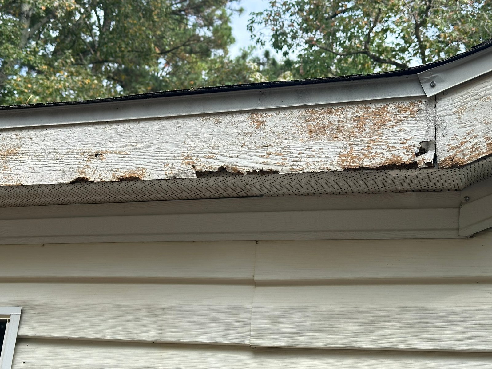 Siding and fascia repair work
